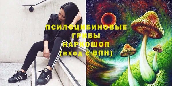 молекула духа Алзамай