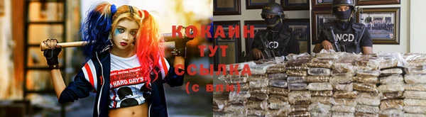 прущие крисы Алексин