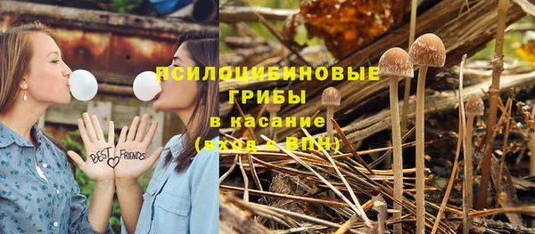 молекула духа Алзамай