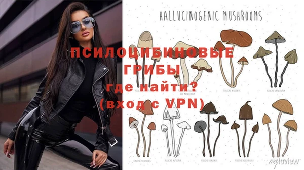 прущие крисы Алексин