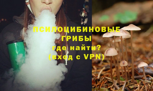 прущие крисы Алексин